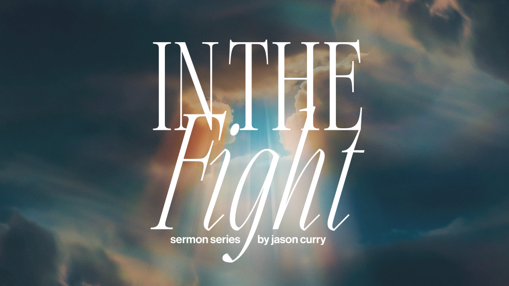 In The Fight